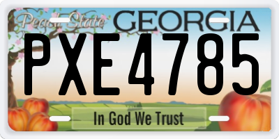 GA license plate PXE4785