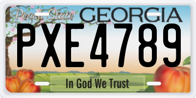 GA license plate PXE4789