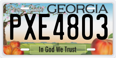 GA license plate PXE4803