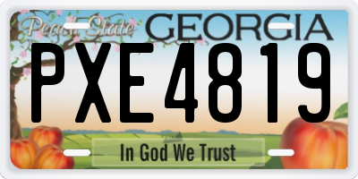 GA license plate PXE4819