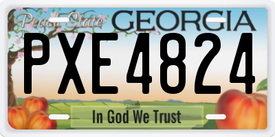GA license plate PXE4824