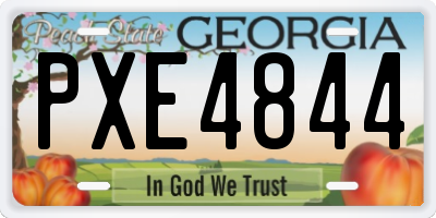 GA license plate PXE4844