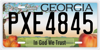 GA license plate PXE4845