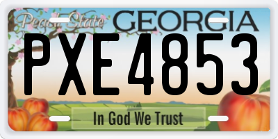 GA license plate PXE4853