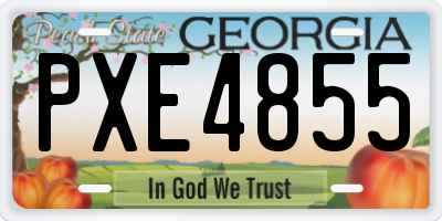 GA license plate PXE4855