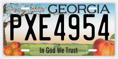 GA license plate PXE4954