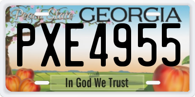 GA license plate PXE4955