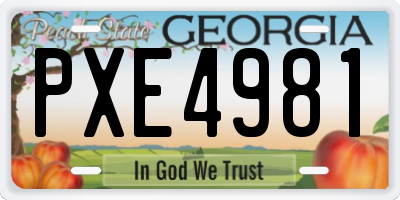 GA license plate PXE4981