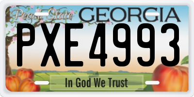 GA license plate PXE4993