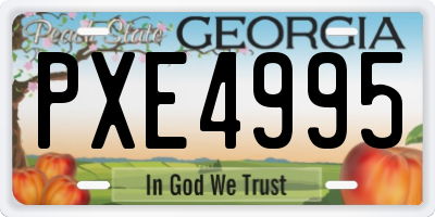 GA license plate PXE4995