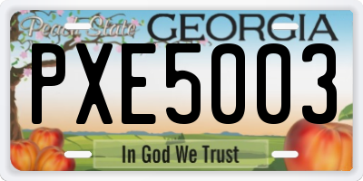 GA license plate PXE5003