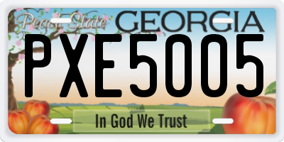GA license plate PXE5005
