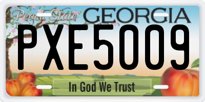 GA license plate PXE5009