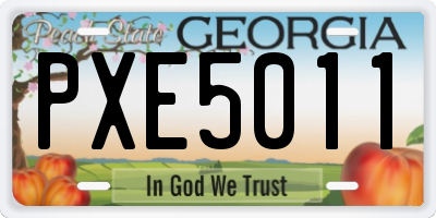 GA license plate PXE5011