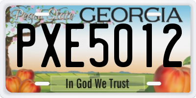 GA license plate PXE5012