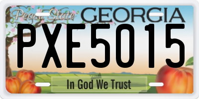 GA license plate PXE5015