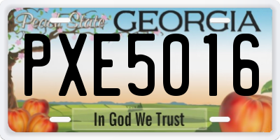 GA license plate PXE5016