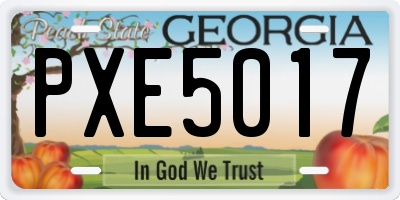 GA license plate PXE5017