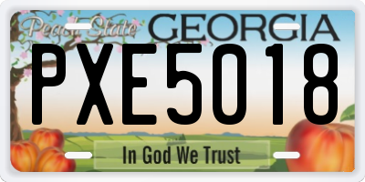 GA license plate PXE5018