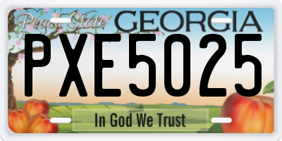 GA license plate PXE5025