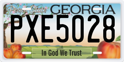 GA license plate PXE5028