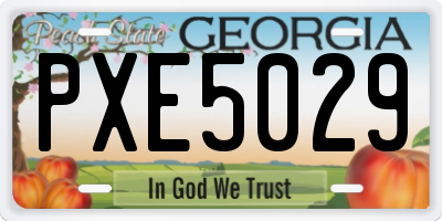 GA license plate PXE5029