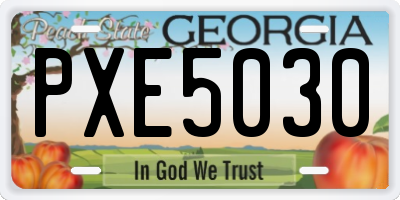 GA license plate PXE5030