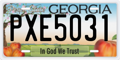 GA license plate PXE5031