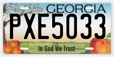 GA license plate PXE5033