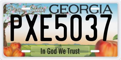 GA license plate PXE5037