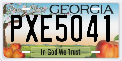 GA license plate PXE5041