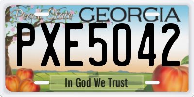 GA license plate PXE5042