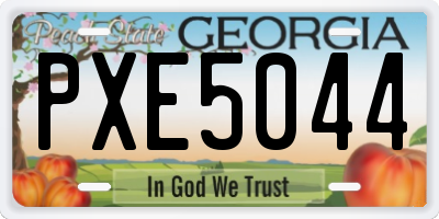 GA license plate PXE5044