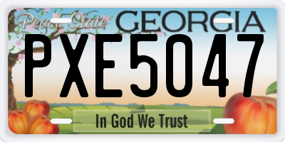 GA license plate PXE5047