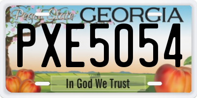 GA license plate PXE5054