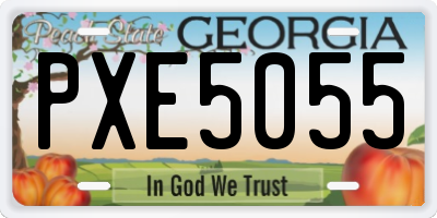 GA license plate PXE5055