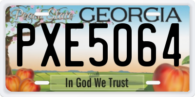 GA license plate PXE5064