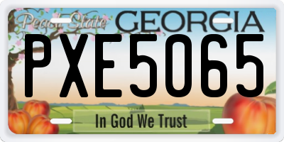 GA license plate PXE5065