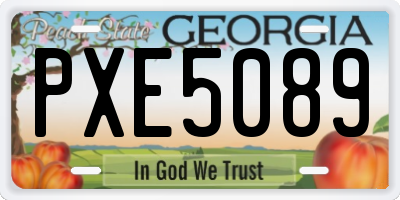 GA license plate PXE5089