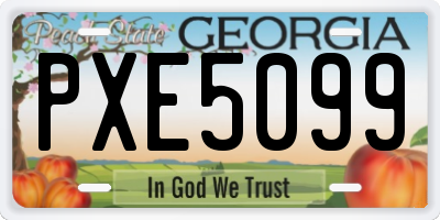 GA license plate PXE5099