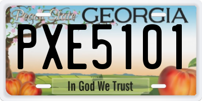 GA license plate PXE5101