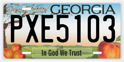 GA license plate PXE5103