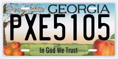 GA license plate PXE5105