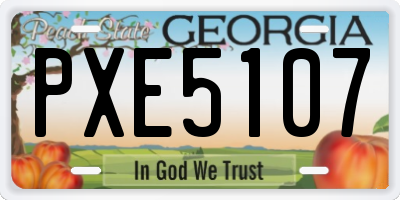 GA license plate PXE5107