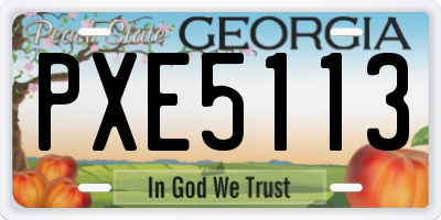 GA license plate PXE5113