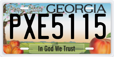 GA license plate PXE5115