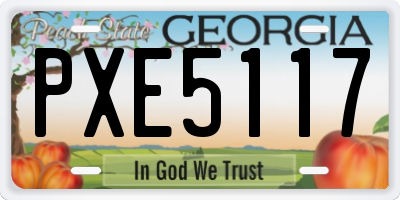 GA license plate PXE5117