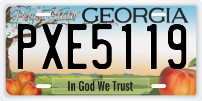 GA license plate PXE5119