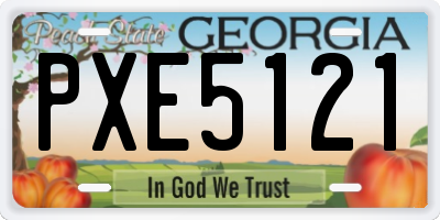 GA license plate PXE5121
