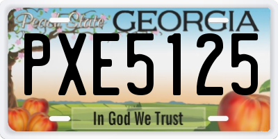 GA license plate PXE5125